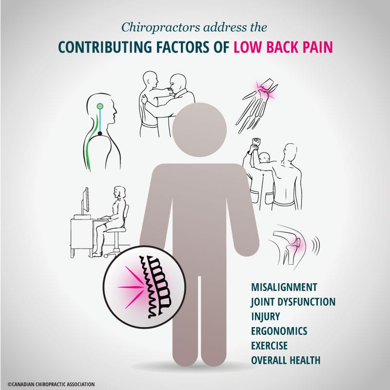 Low Back Pain and Chiropractic Care