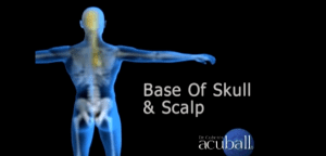 Base of Skull Exercises